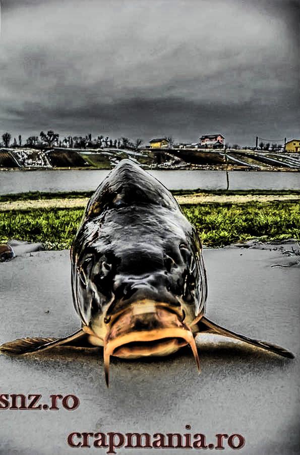 Cupa Primaverii MV2-2013 - 1010032hdrmode2.jpg